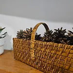 Old Town Rustic Elegance By The Livu And Dome Squares ريغا