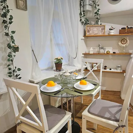 Old Town Rustic Elegance By The Livu And Dome Squares Apartment