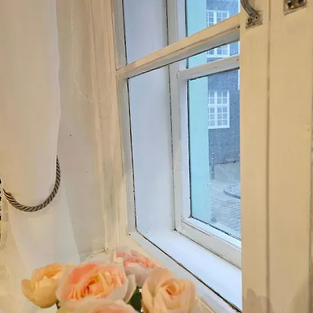 Apartment Old Town Rustic Elegance By The Livu And Dome Squares