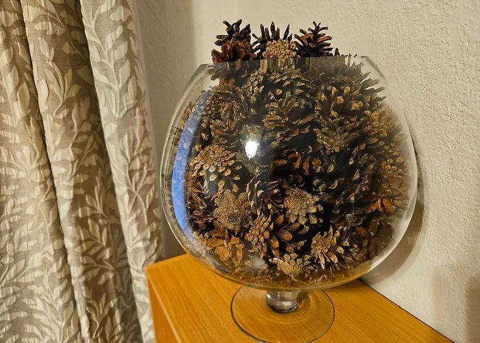 公寓 Old Town Rustic Elegance By The Livu And Dome Squares