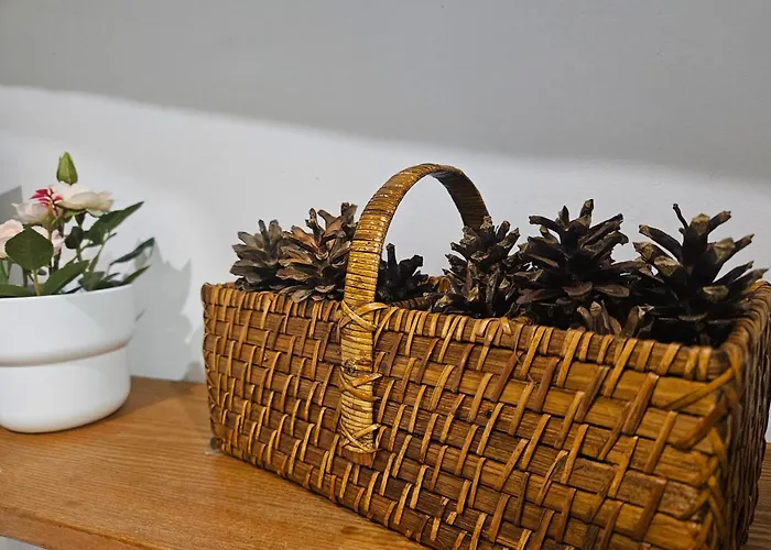 Old Town Rustic Elegance By The Livu And Dome Squares 里加