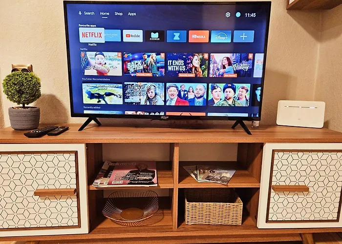 Old Town Rustic Elegance By The Livu And Dome Squares * 里加